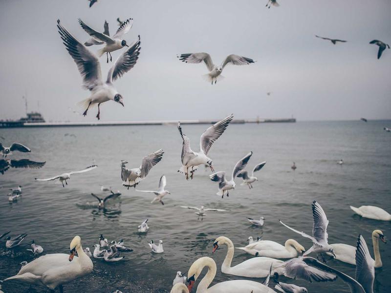 sudoku update news screenshot 1